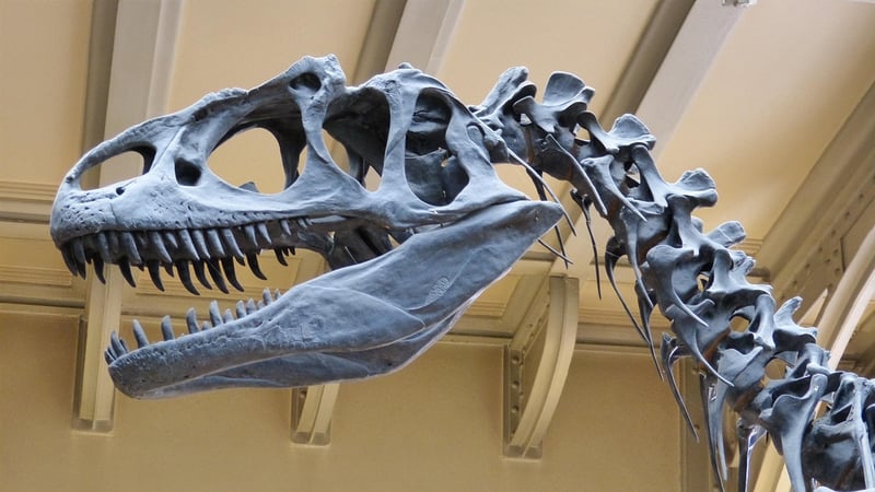 Jurassic Era Dinosaur